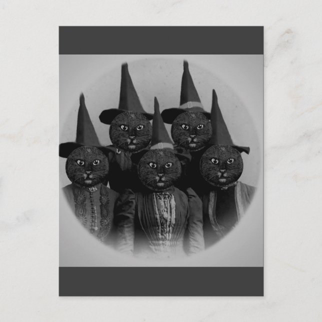 Vintage schwarze Katze/Hexen Postkarte (Vorderseite)