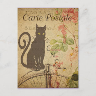 Vintage schwarze Katze, Postkarte