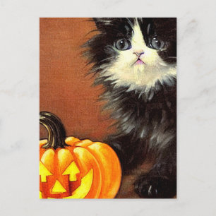 Vintage-schwarzes und weißes Halloween-Kätzchen Postkarte
