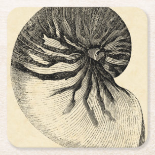 Vintage Schwarzweiss-Tritonshorn-Muschel Rechteckiger Pappuntersetzer