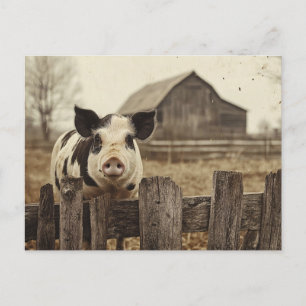Vintage-Schwein auf einem Bauernhof Postkarte