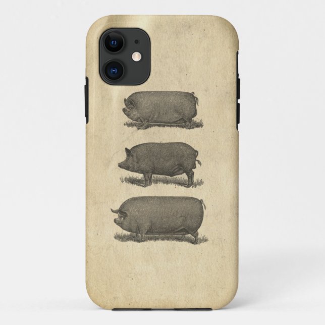 Vintage-Schweine-Case Case-Mate iPhone Hülle (Rückseite)