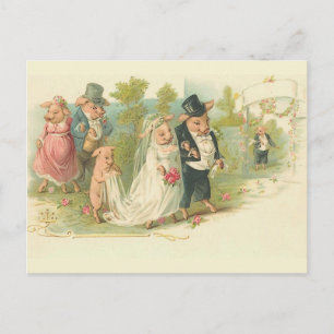 Vintage-Schweine-Hochzeit Postkarte