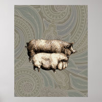 Vintage Schweine, zeichnend antike Schweine