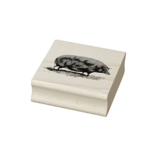 Vintage Schweinradierung Gummistempel