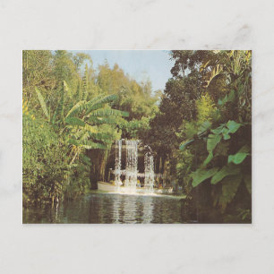 Vintage Schweitzerfälle Postkarte