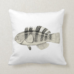 Vintage Science NZ Fisch - Papageifisch Kissen