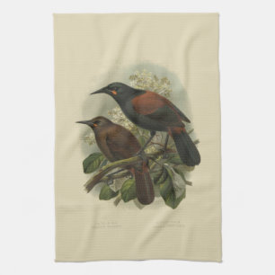 Vintage Science NZ Vögel - Saddleback-Tee-Tuch Geschirrtuch