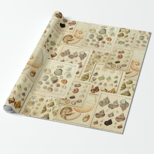 Vintage Seashell Wrap für Decoupage oder Geschenk Geschenkpapier