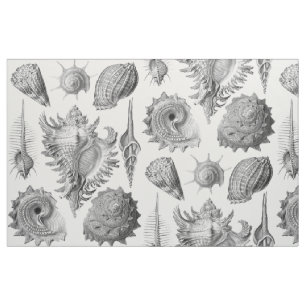 Vintage Seashells Stoff