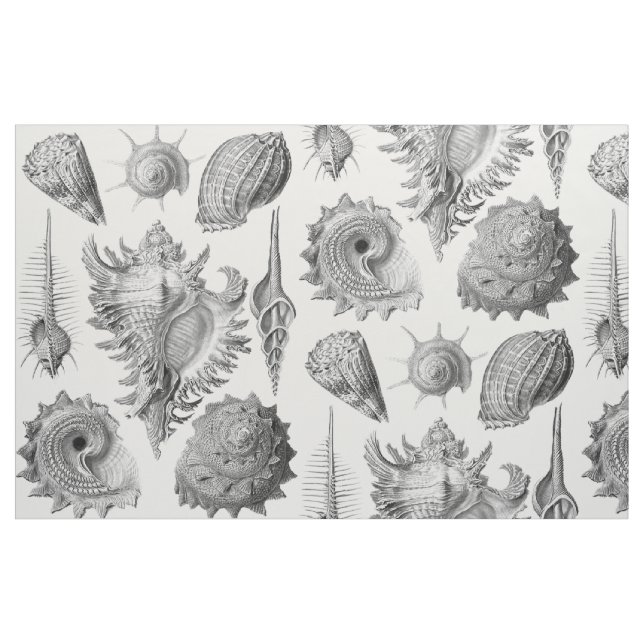 Vintage Seashells Stoff (Fat Quarter (45,7 x 55,9 cm))
