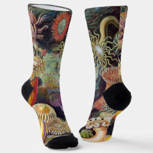 Vintage Seeanemonen unter Wasser von Ernst Haeckel Socken