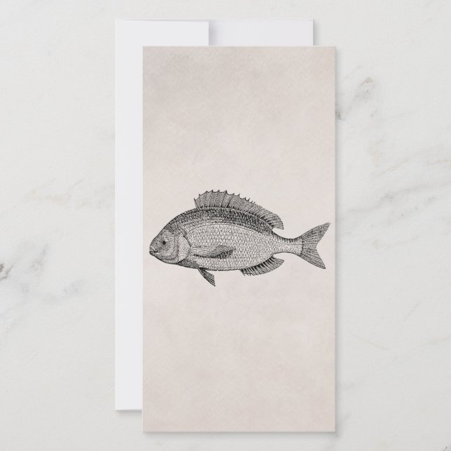 Vintage Seebrachsen-Fisch-Retro Fisch-Pergament (Vorderseite)