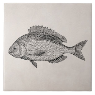 Vintage-Seebrassen-Fisch Retro-Fische Vorlage Fliese