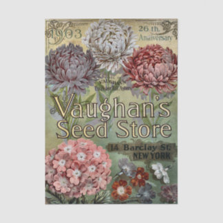 Vintage Seed Catalog, 1903, Vaughan's, Asters Seidenpapier