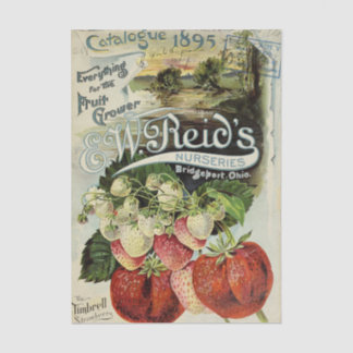Vintage Seed Catalog, Reid's Nurseries, 1895 Seidenpapier