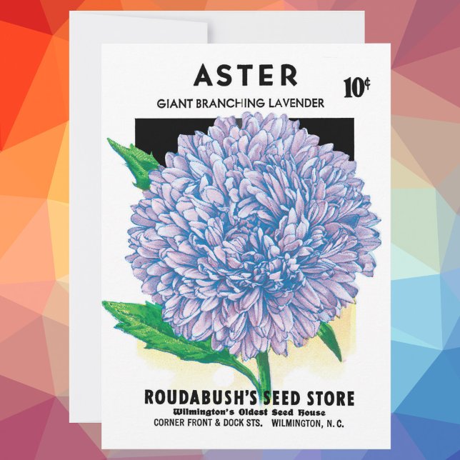 Vintage Seed Packet Art, Lila Aster-Blume (Von Creator hochgeladen)