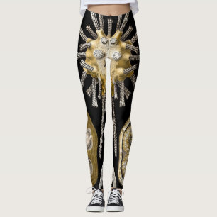 Vintage Seeigel Sanddollars von Ernst Haeckel Leggings