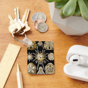 Vintage Seeigel Sanddollars von Ernst Haeckel Schlüsselanhänger