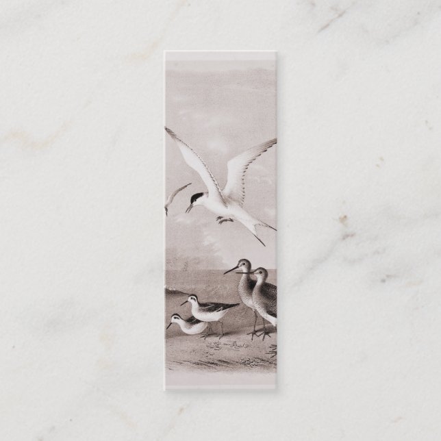 Vintage Seemöwen fertigten Retro Seemöwe-Schablone Mini Visitenkarte (Vorderseite)