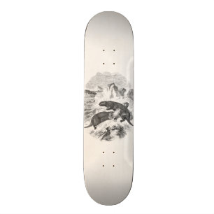 Vintage Seeotter 1800s Otter-Illustration Skateboard