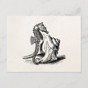 Vintage Seepferdchen Meer Pferd Trompetenmuschel S Postkarte