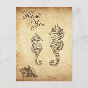 Vintage Seepferde und Conch Muschel Beach Vielen D Postkarte