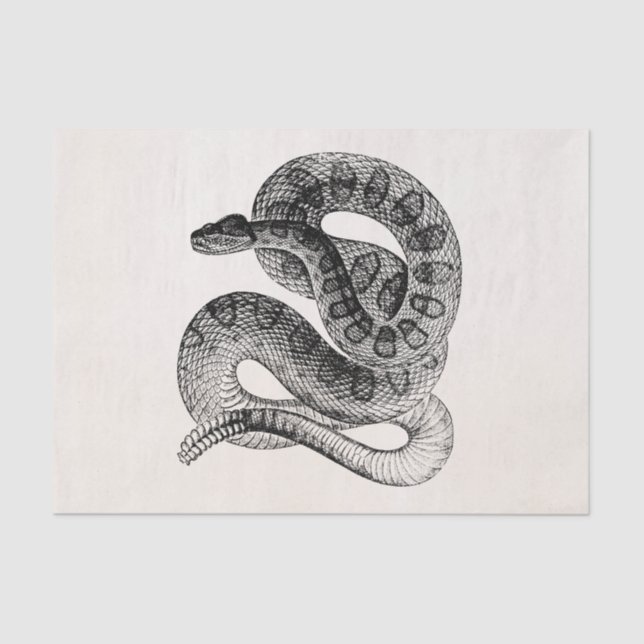 Vintage Seidenpapier (Vorderseite)