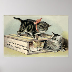 Vintage- Seifenwerbung aus der viktorianischen Ära Poster