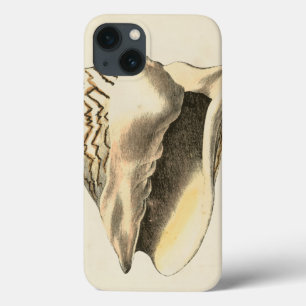 Vintage Sepia Conch-Muschel Case-Mate iPhone Hülle