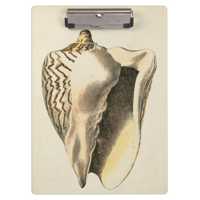 Vintage Sepia Conch-Muschel Klemmbrett (Vorderseite)
