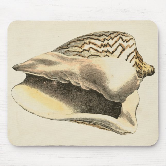 Vintage Sepia Conch-Muschel Mousepad (Vorne)