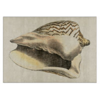 Vintage Sepia Conch-Muschel