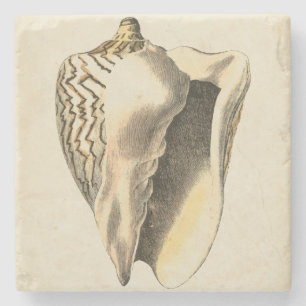 Vintage Sepia Conch-Muschel Steinuntersetzer