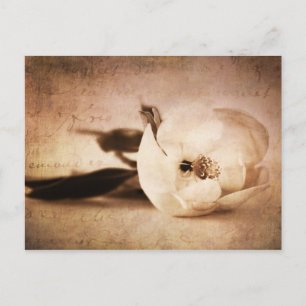 Vintage Sepia Magnolia Blume Blume Postkarte