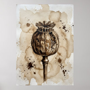 Vintage Sepia Mohnkapsel Botanische Kunst Poster