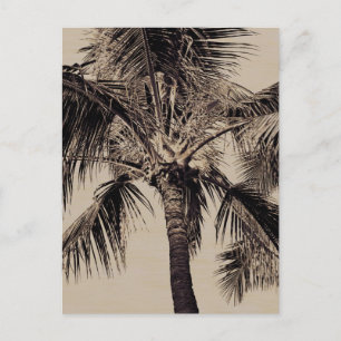 Vintage-Sepia-Retro-Hawaiian-Palmenbaum-Vorlage Postkarte