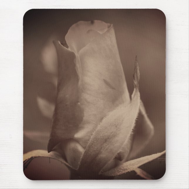 Vintage Sepia Rosenknospe-Blume Mousepad (Vorne)