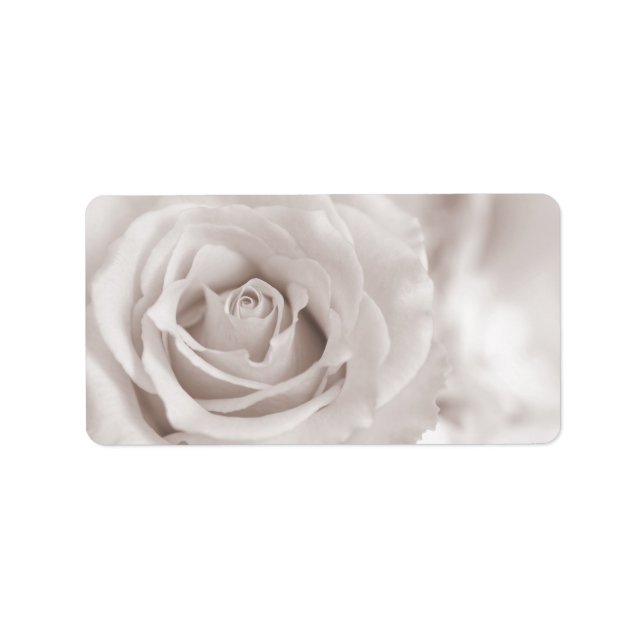 Vintage Sepia White & Cream Rose - kundenspezifisc Adressaufkleber (Vorne)