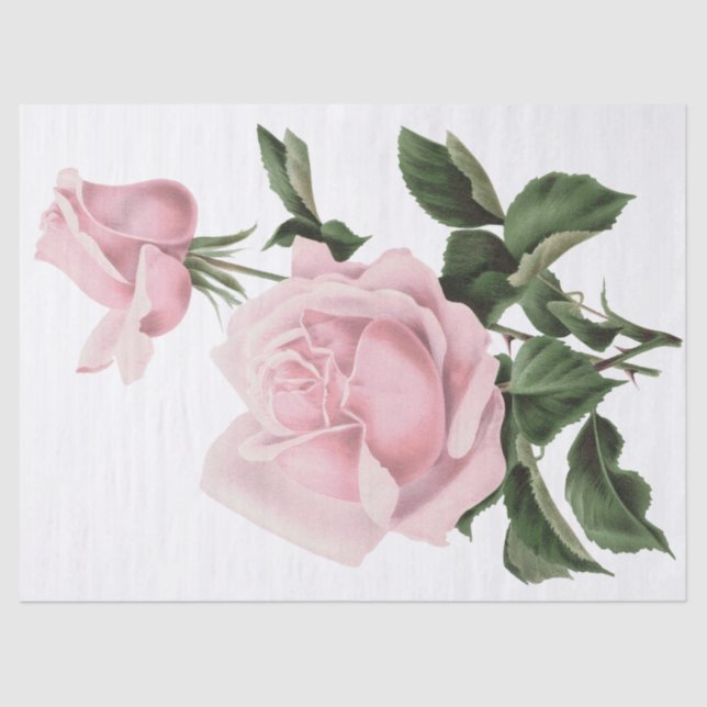Vintage Shabby Pink Floral Rose Seidenpapier (Vorderseite)