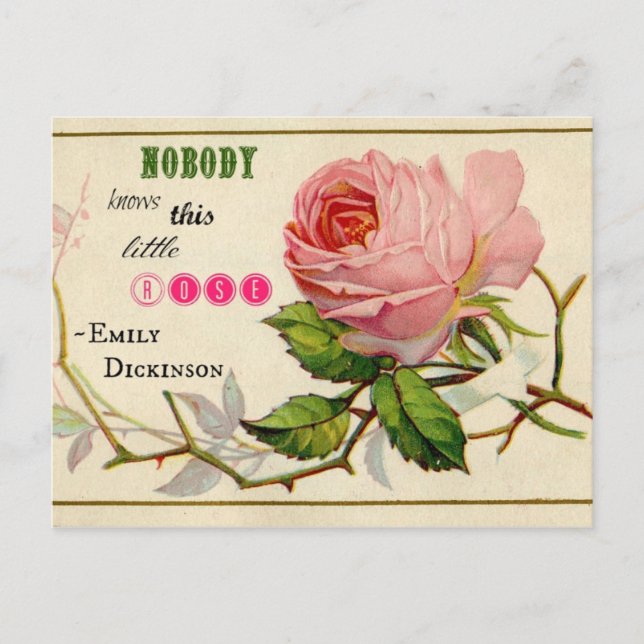 Vintage Shabby Pink Rose Postkarte (Vorderseite)