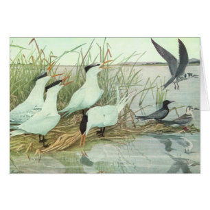 Vintage Shorebirds in Marsh von Louis Futes