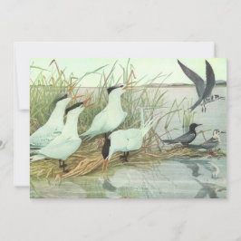 Vintage Shorebirds in Marsh von Louis Futes Einladung