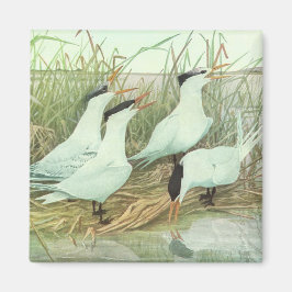 Vintage Shorebirds in Marsh von Louis Futes Magnet