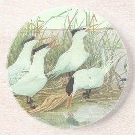 Vintage Shorebirds in Marsh von Louis Futes Untersetzer