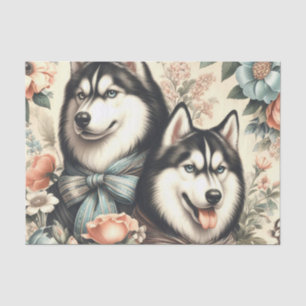 Vintage sibirische Husky-Illustration Seidenpapier