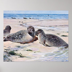 Vintage Siegel am Strand Art Poster
