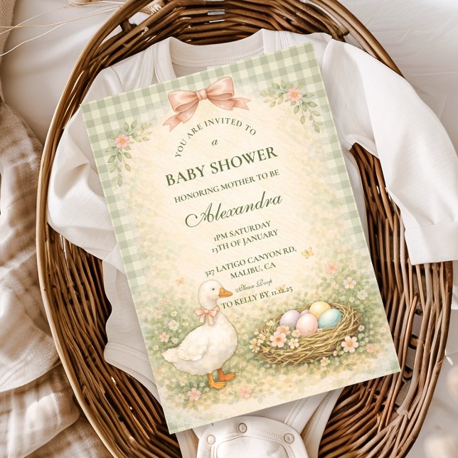 Vintage Silly Goose Garten-Baby-Party Einladung (Von Creator hochgeladen)