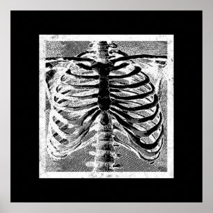 Vintage Skelett Knochen Torso Körper Halloween Poster