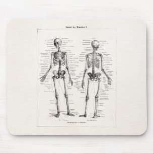 Vintage Skelett Menschliche Anatomie Knochen Schäd Mousepad